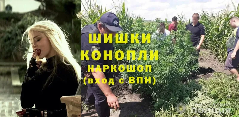 Каннабис Ganja  Прокопьевск 